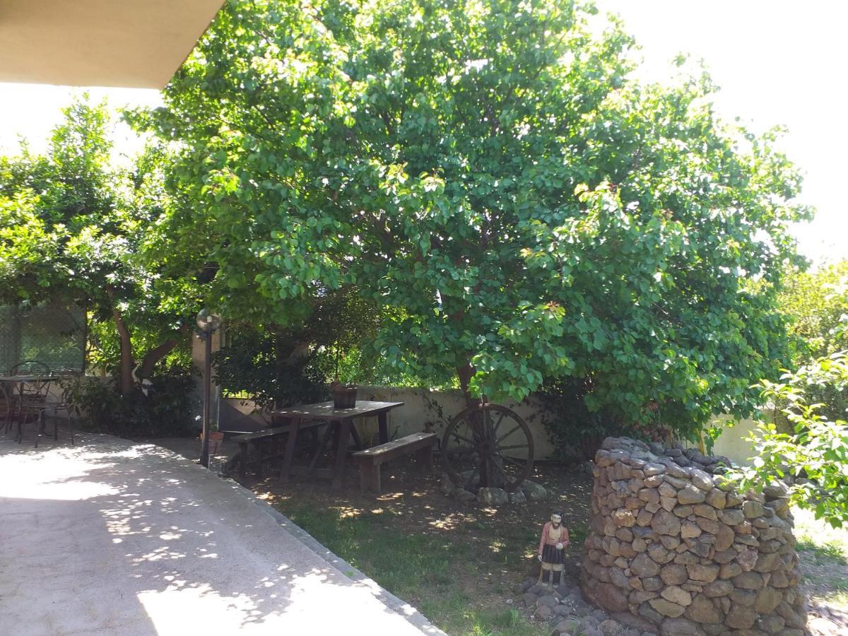 B&B Antica Botte Sassari Bagian luar foto