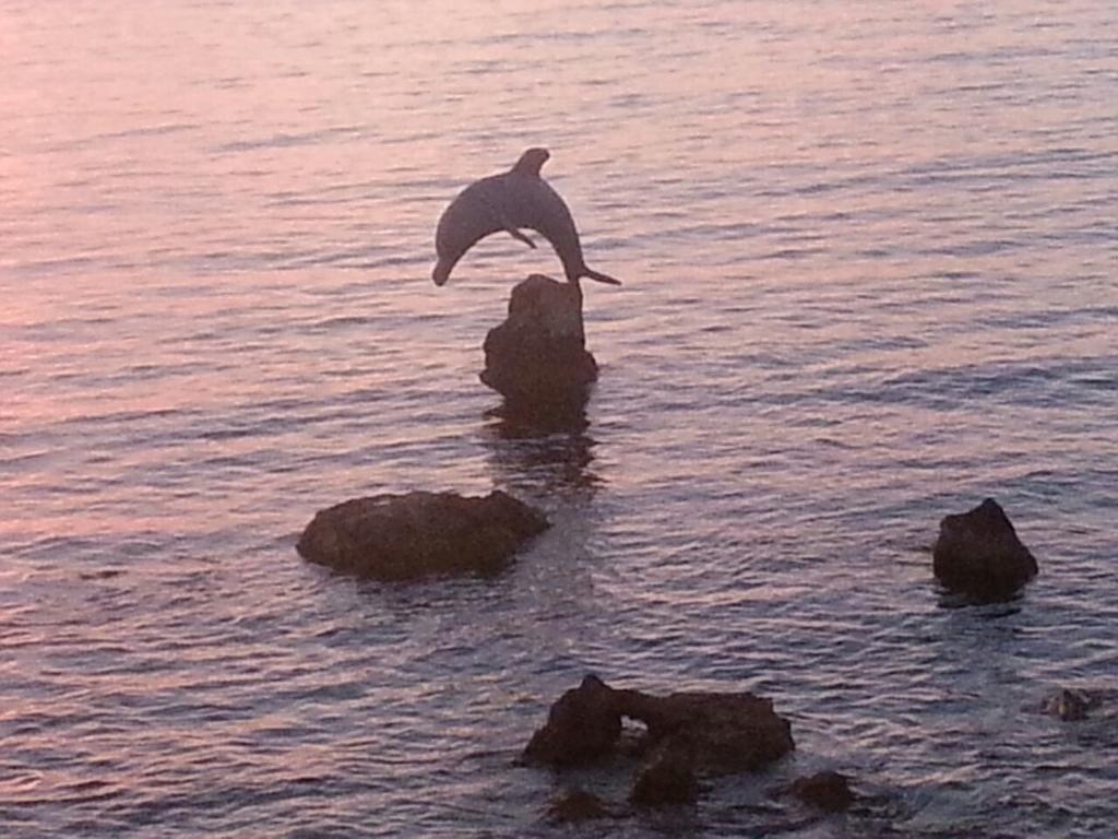 B&B Antica Botte Sassari Bagian luar foto