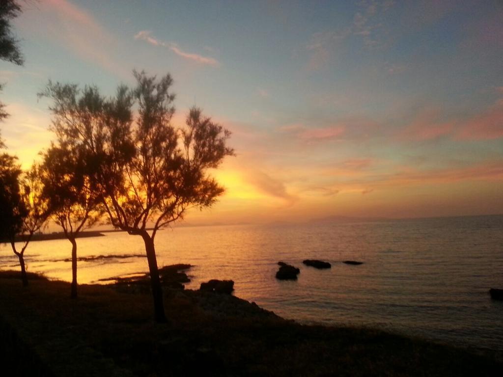 B&B Antica Botte Sassari Bagian luar foto