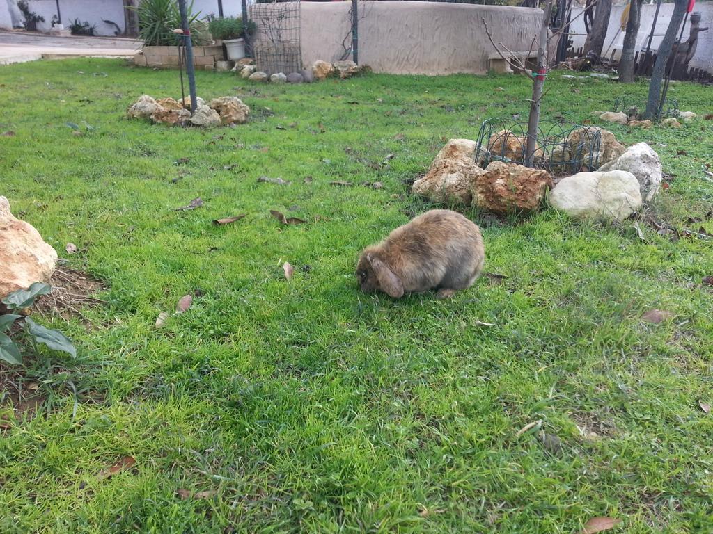B&B Antica Botte Sassari Bagian luar foto