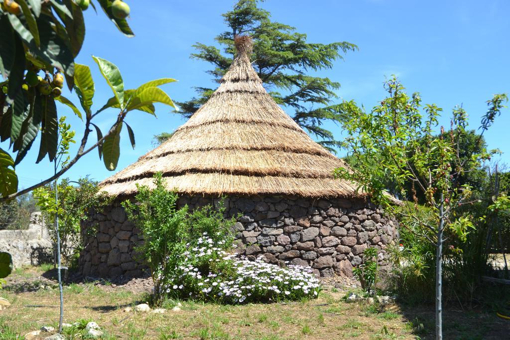 B&B Antica Botte Sassari Bagian luar foto